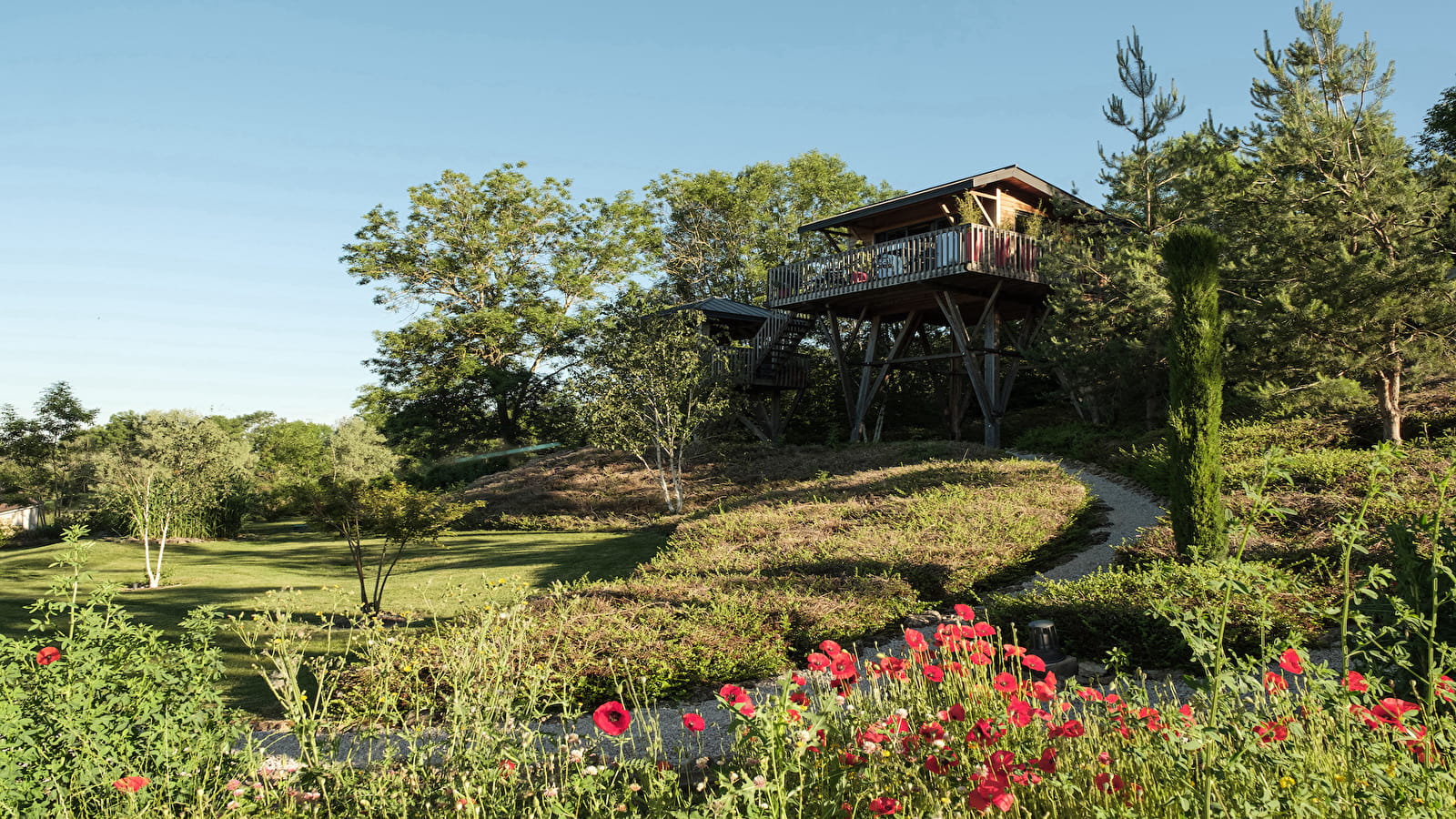 Passer une nuit inoubliable dans les Vignes : Top 10 des meilleurs hébergements viticoles en 2025
