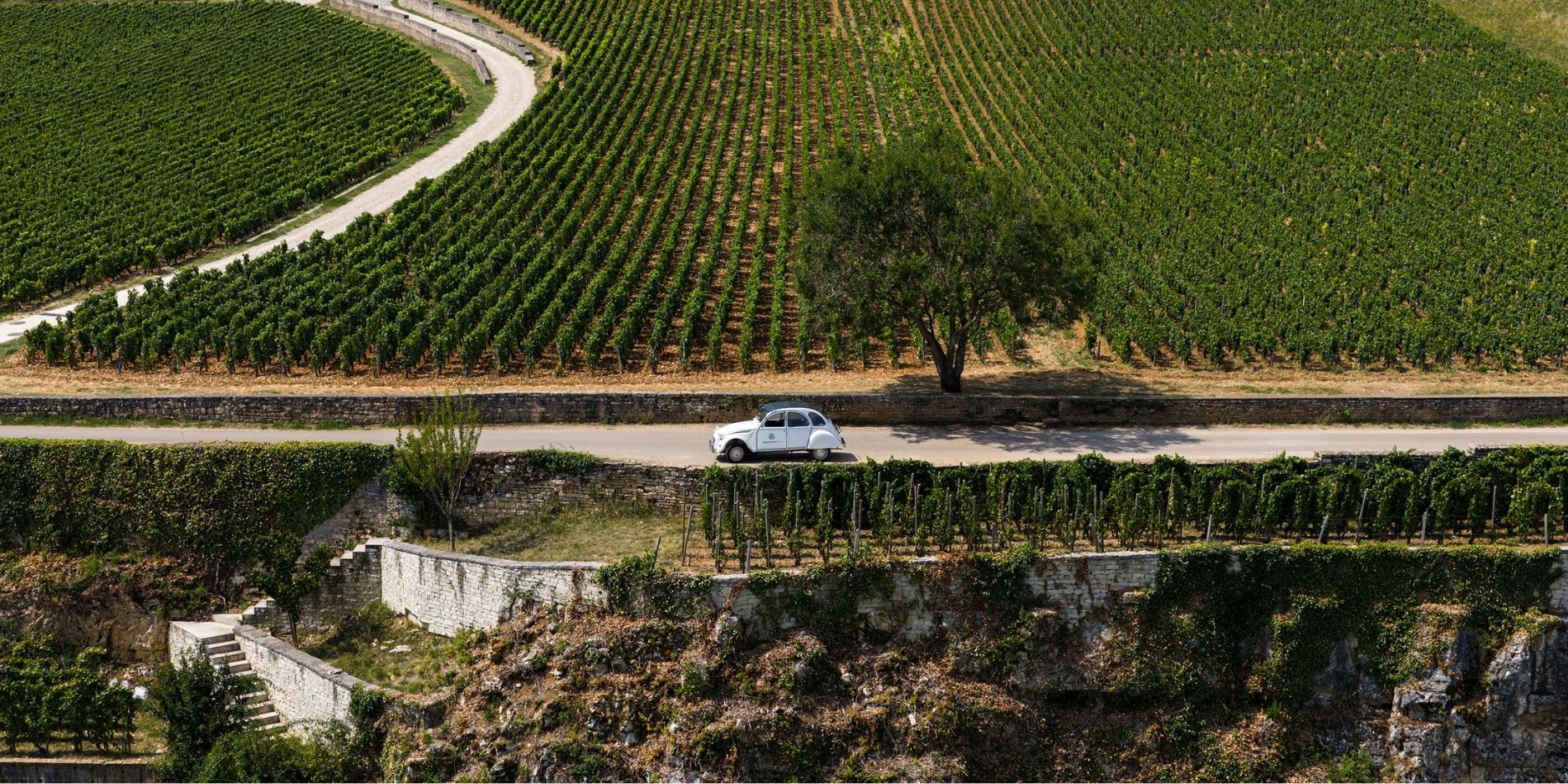 La Bourgogne, une des plus belles destinations de l'été en France